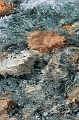 Special Editions at Wolf Photography